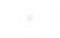 visiondispatchllc.com